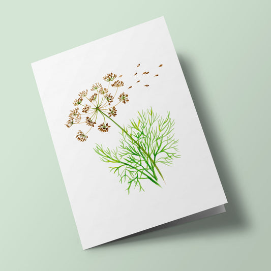 Plant Life - Dill