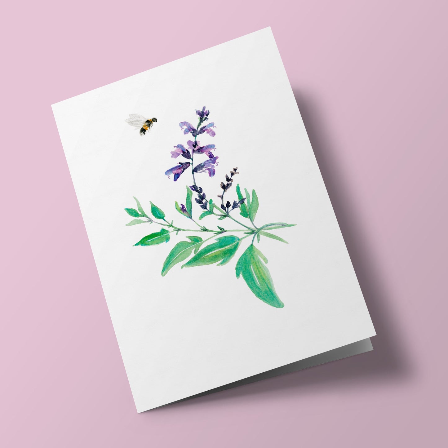 Plant Life - Sage