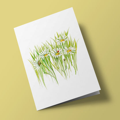 Plant Life - Daisy