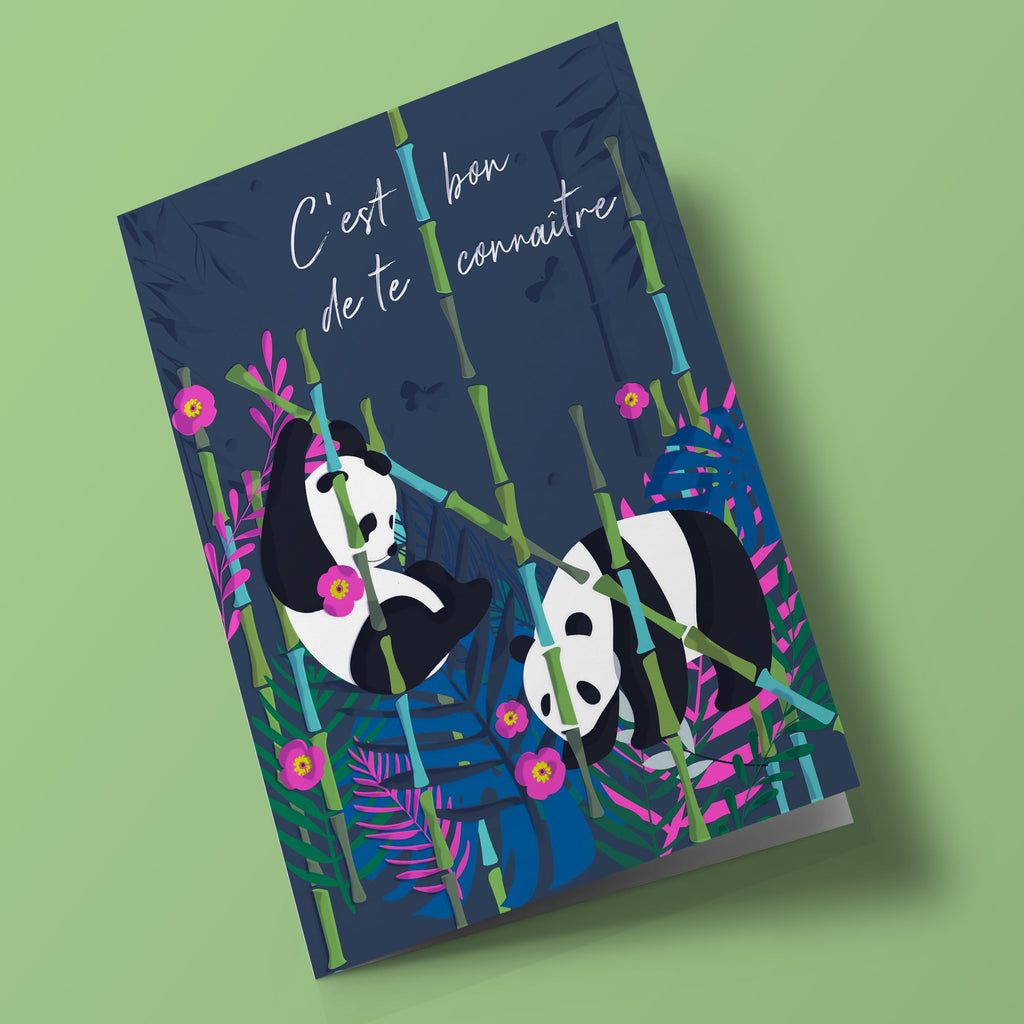 Wild Thing - amitié pandas