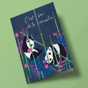 Wild Thing - amitié pandas