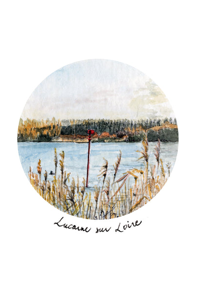 Skylight on the Loire - Reeds in the wind