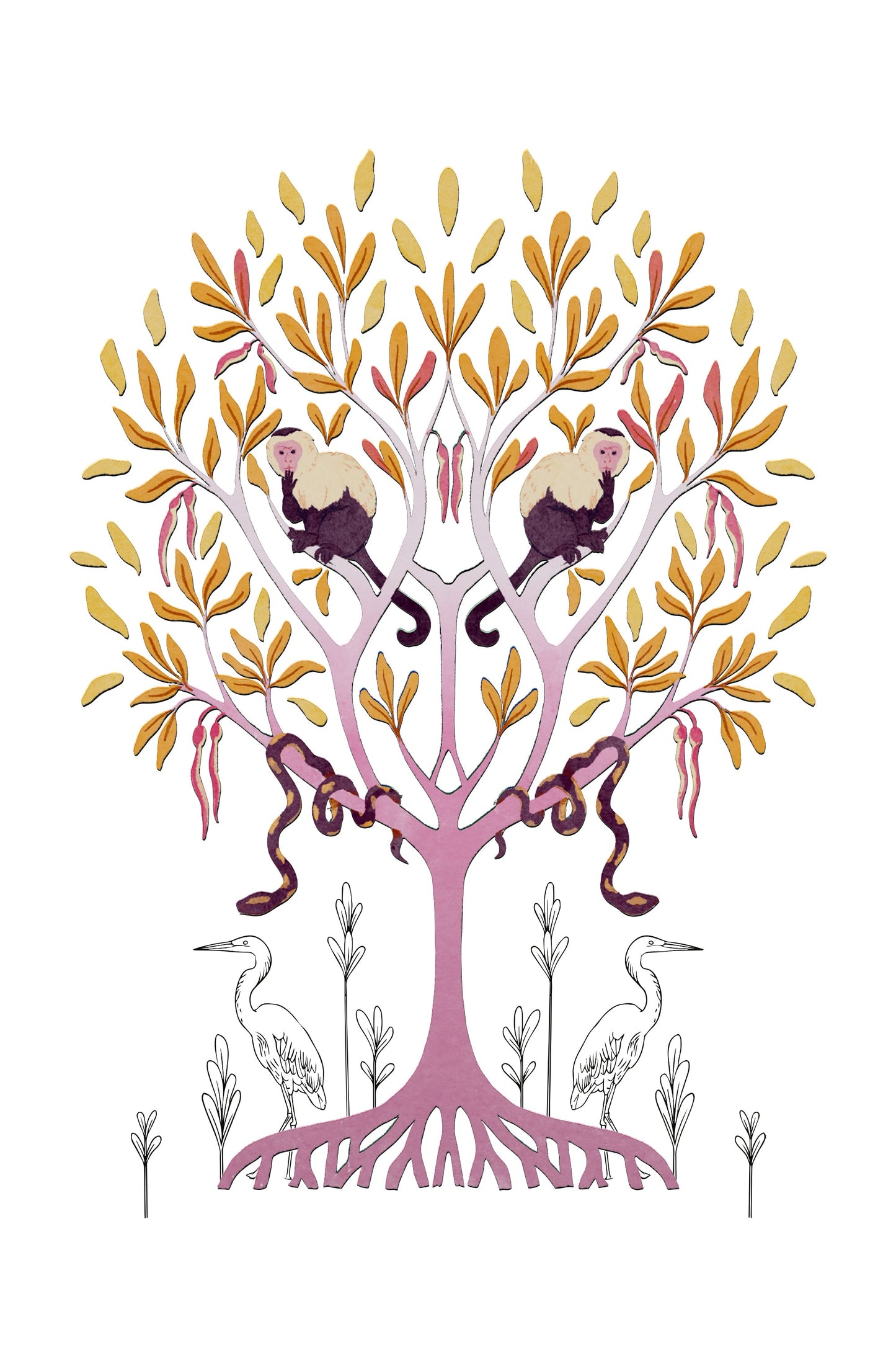 Remarkable trees - Mangrove