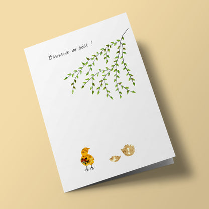 Sacred Nature - Welcome Baby Chick