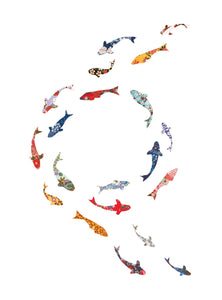 Nature Sacrée - Cercle de carpes