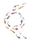 Nature Sacrée - Cercle de carpes