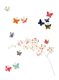 Sacred Nature - Butterflies Around Orchids