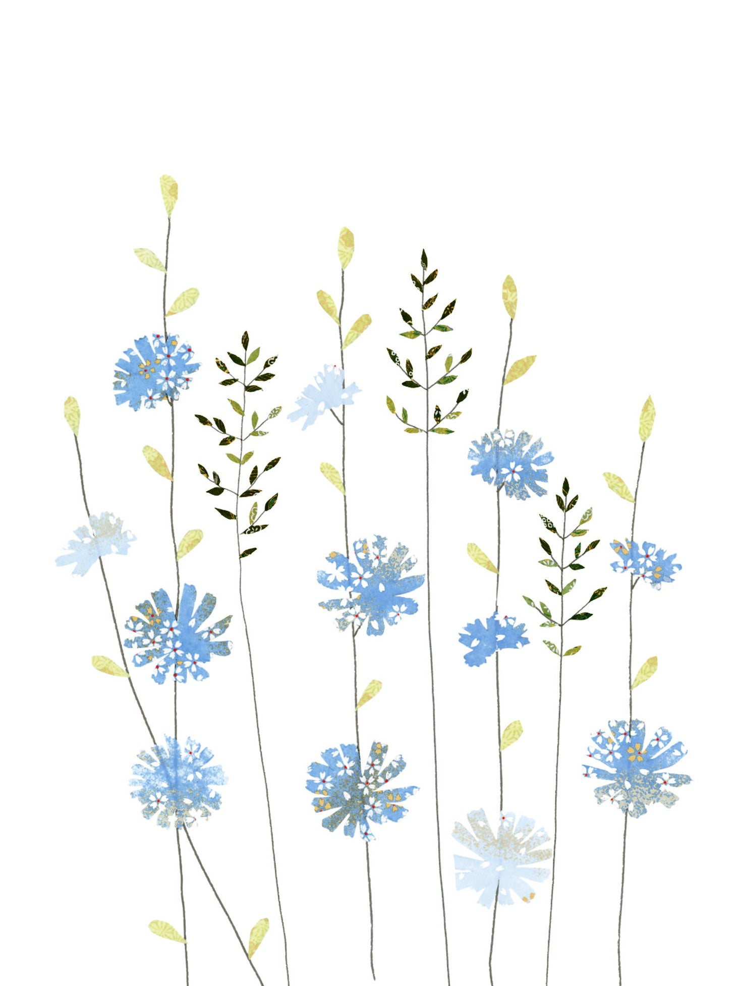Sacred Nature - Chicory and Herbs