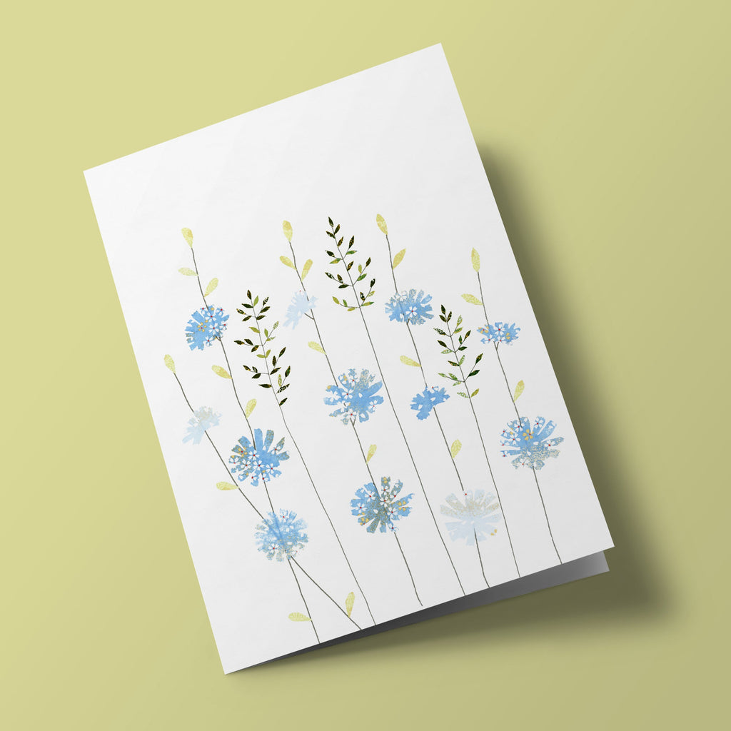 Sacred Nature - Chicory and Herbs