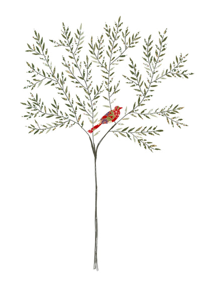 Sacred Nature - Olive Tree