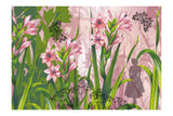 Fashion Garden - Gladiolus