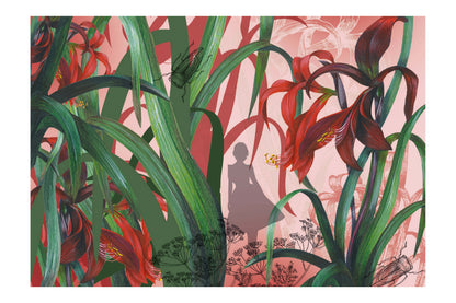 Fashion Garden - Amaryllis