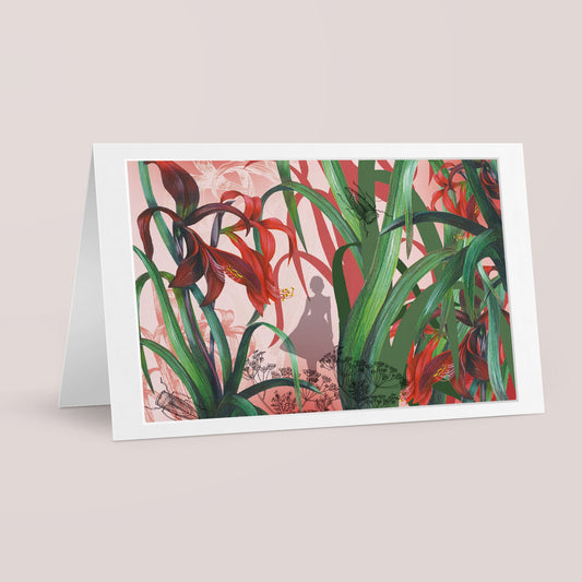 Fashion Garden - Amaryllis