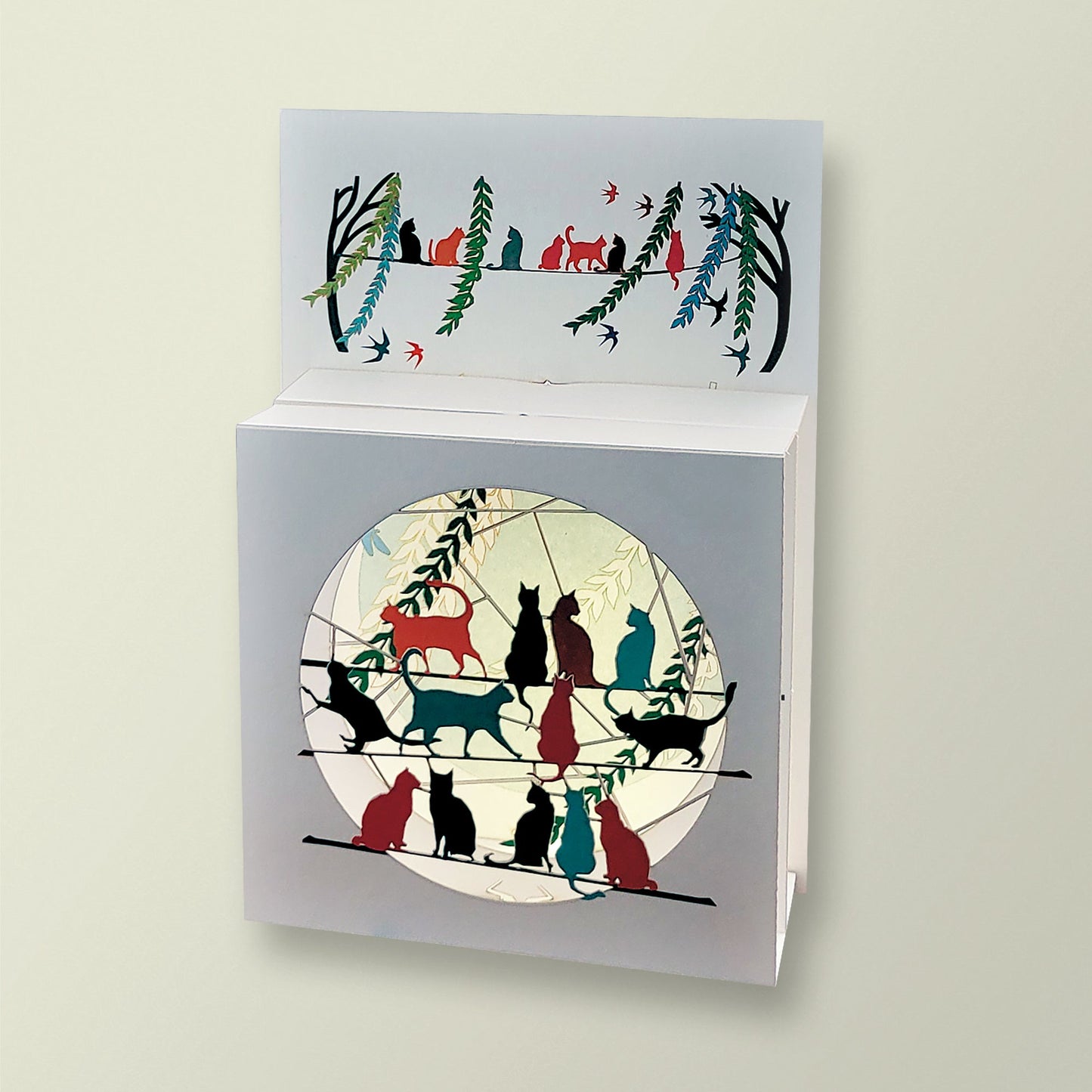 Carte box - Chats