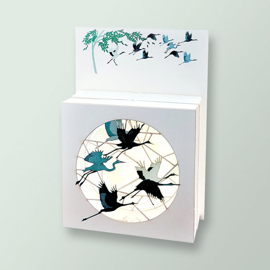 Box card - birds