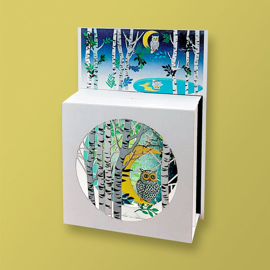 Carte box - Chouette dans les bois
