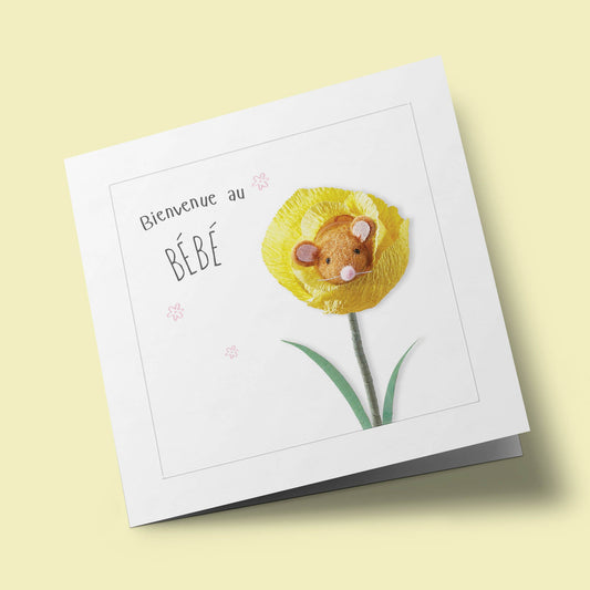 1 2 3  Soleil - Bienvenue au bébé