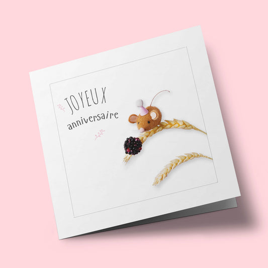 1 2 3  Soleil - Souris et mure, anniversaire