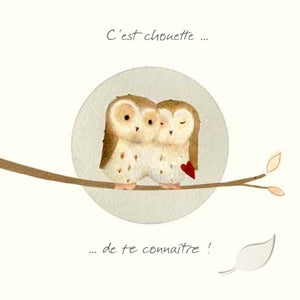 Owl's Nest - "C'est chouette de te connaître" - Chouettes