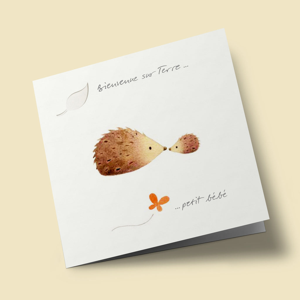 "Welcome to Earth Little Baby" - Hedgehogs