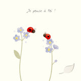 "I'm thinking of you!" - Ladybirds