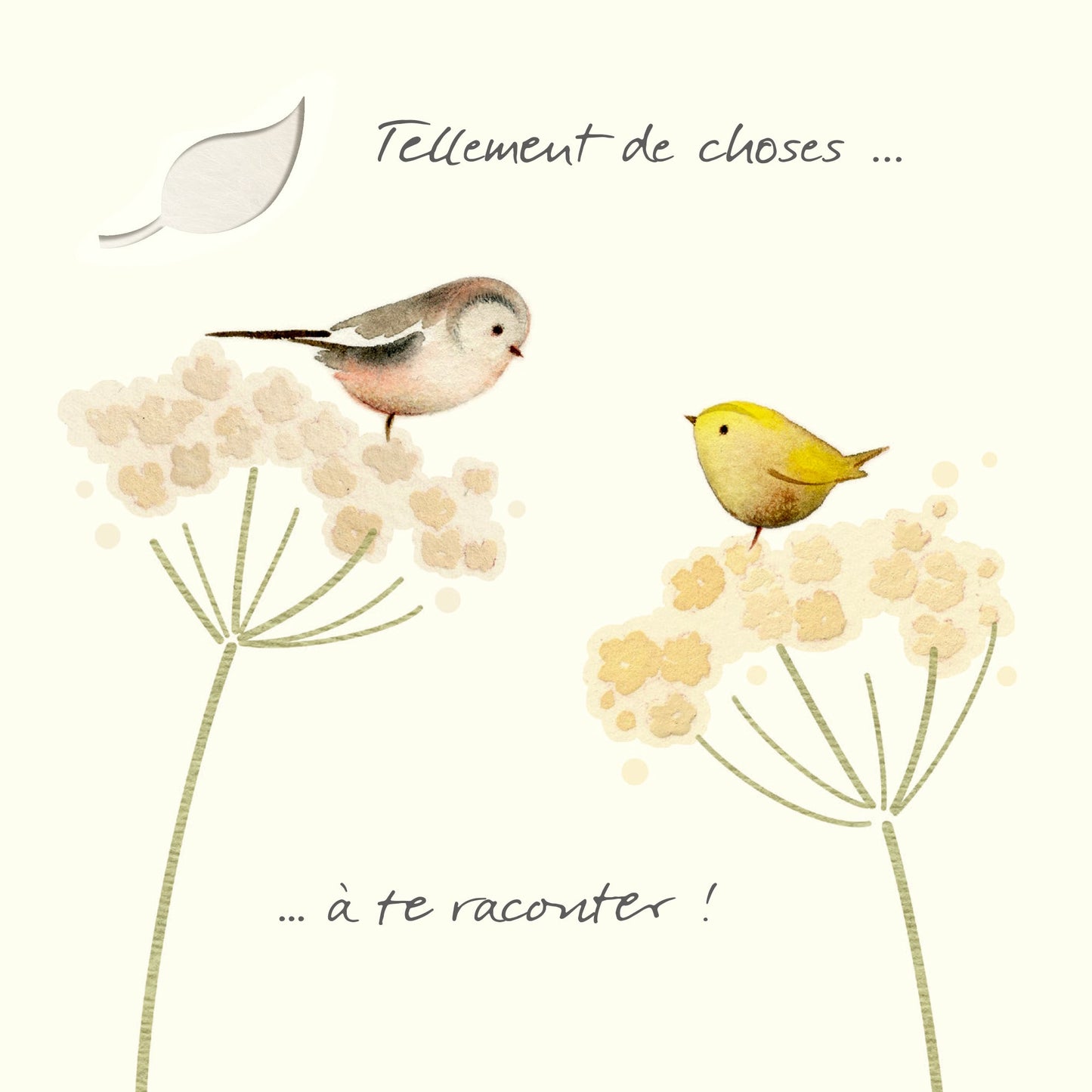 "So many thingsâ€¦ to tell you!" - Birds