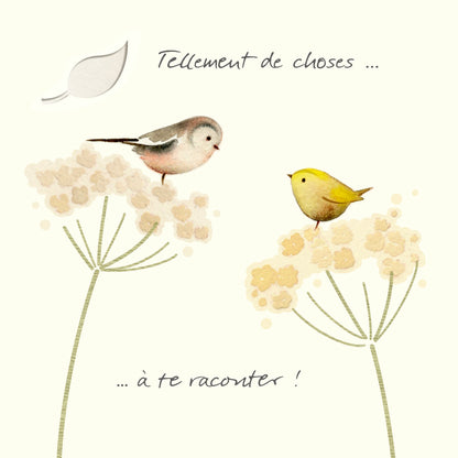 "So many thingsâ€¦ to tell you!" - Birds