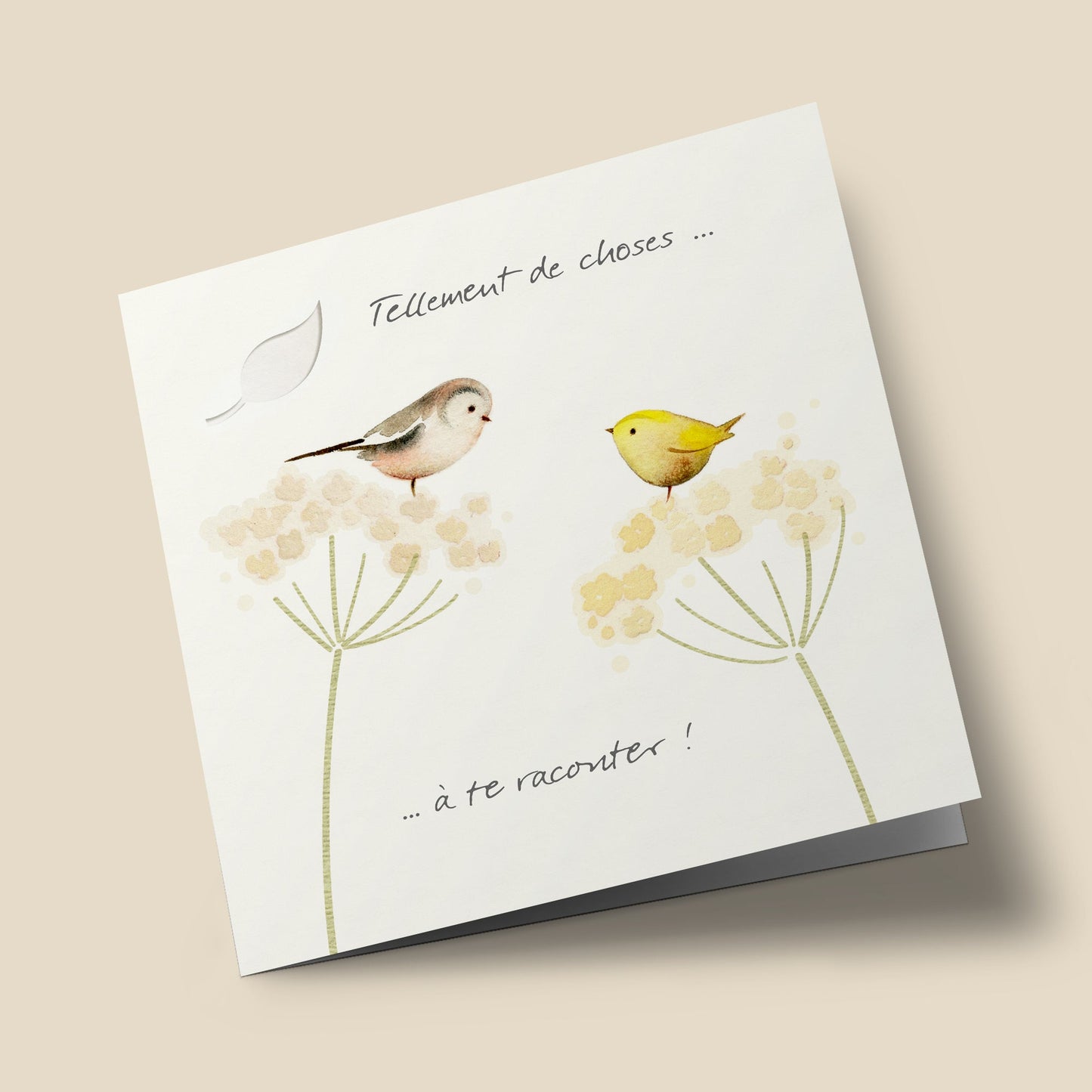 "So many thingsâ€¦ to tell you!" - Birds