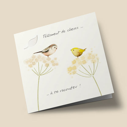 "So many thingsâ€¦ to tell you!" - Birds