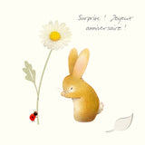 "Surprise! Happy Birthday!" - Ladybird and Bunny