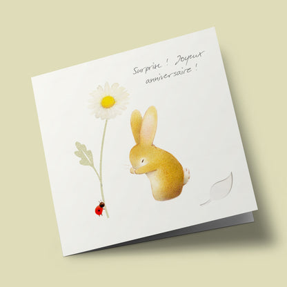 "Surprise! Happy Birthday!" - Ladybird and Bunny