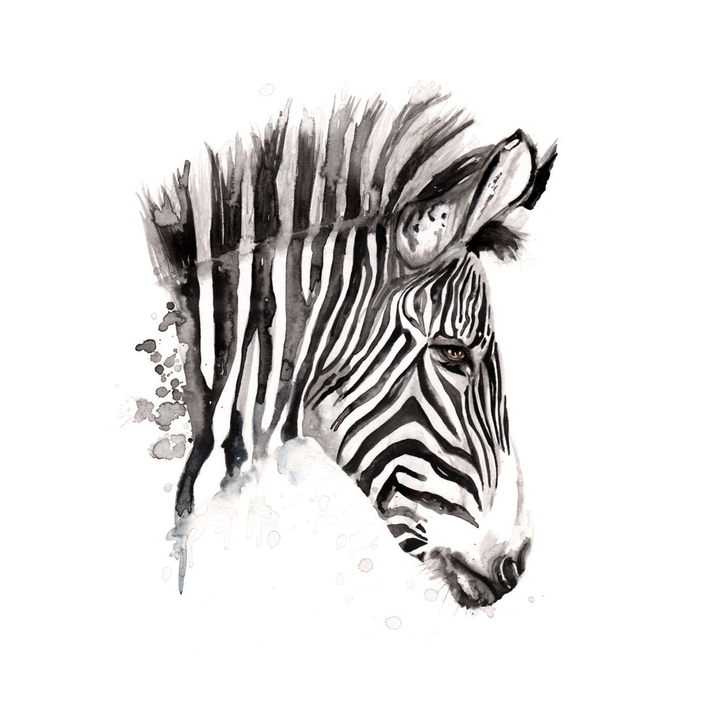 Naturalist - Zebra