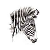 Naturalist - Zebra