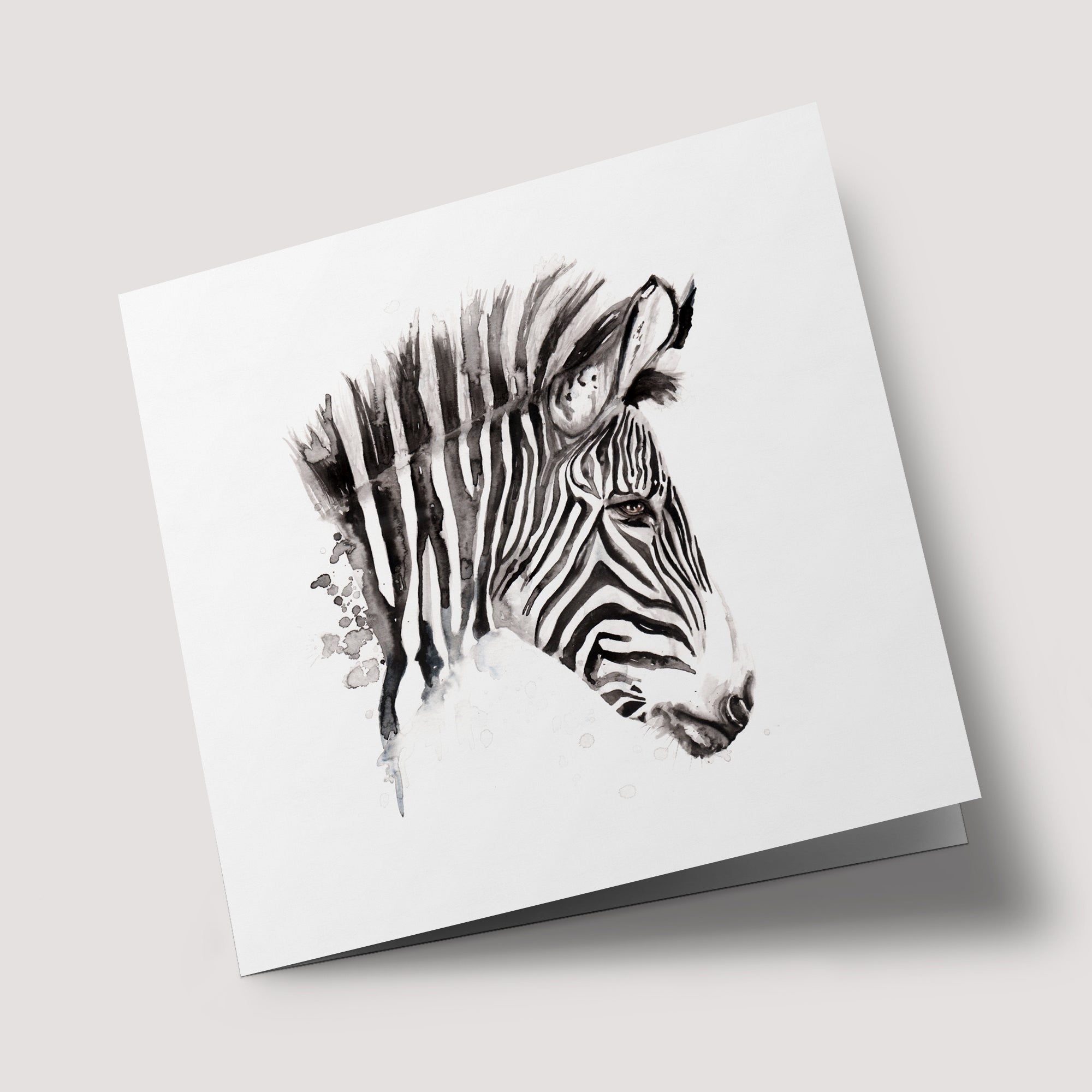 Naturalist - Zebra