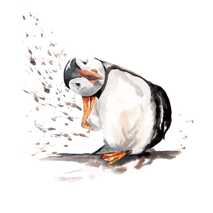 Naturalist - Puffin
