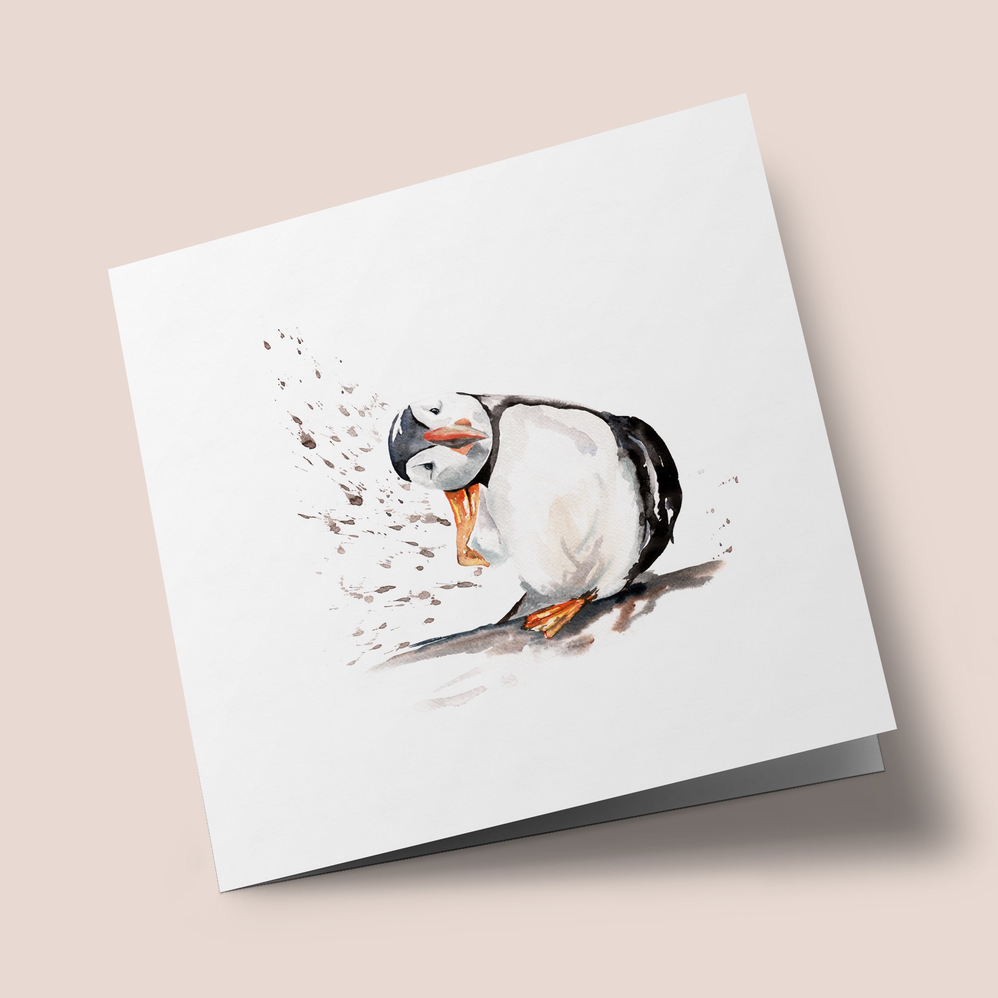 Naturalist - Puffin