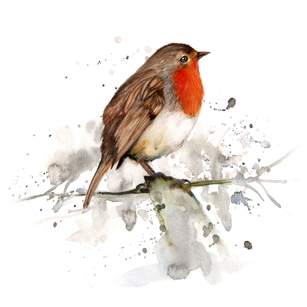Robin