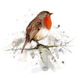 Robin