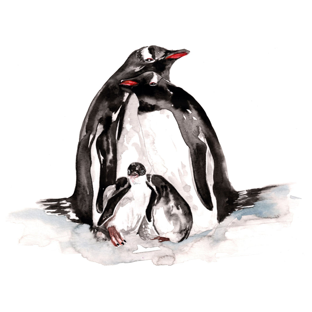 Naturaliste - Aquarelle d'une famille de pingouins
