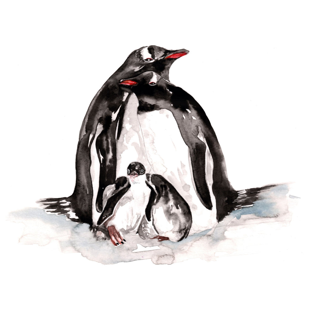 Naturalist - Penguin Family