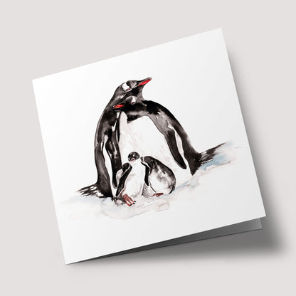 Naturalist - Penguin Family