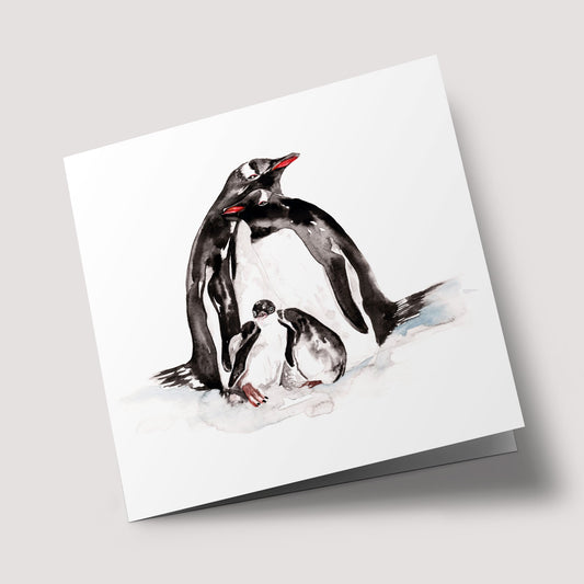 Naturalist - Penguin Family