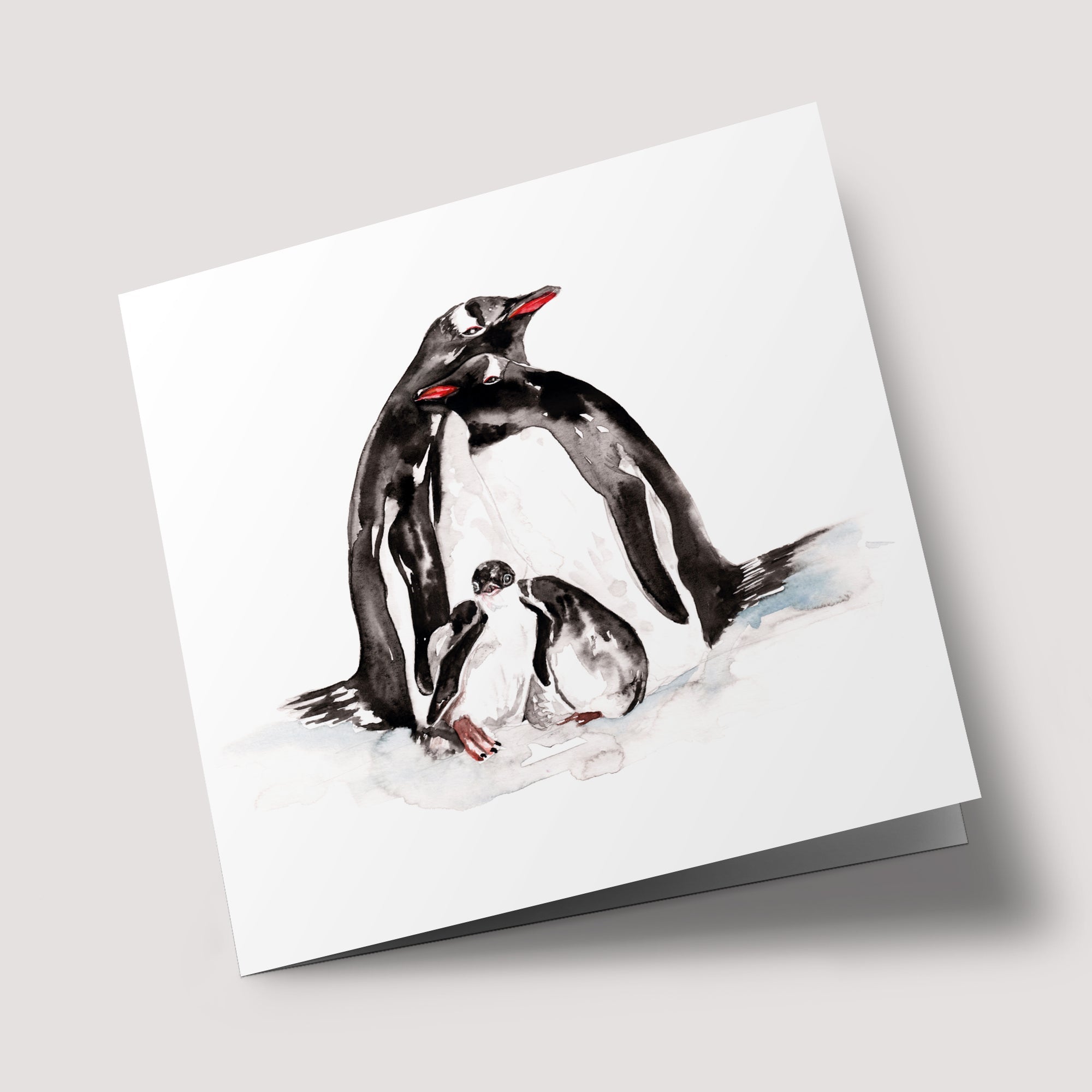 Naturalist - Penguin Family