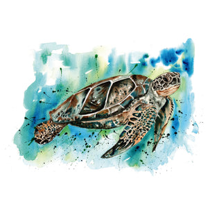 Naturaliste - Aquarelle d'un tortue de mer