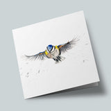 Naturalist - Blue Tit