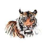 Naturaliste - Aquarelle d'un tigre