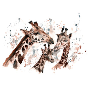 Naturaliste - Aquarelle des girafes