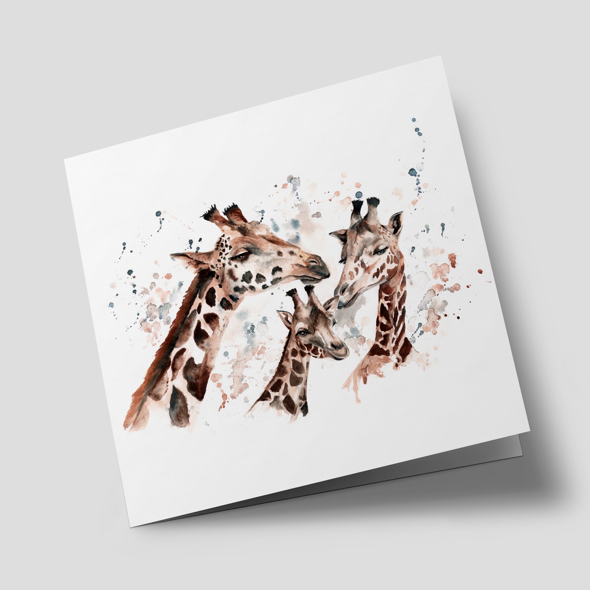 Naturalist - Giraffes