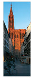 Panoramic card - Strasbourg, the cathedral