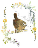 Carte à planter - Roitelet